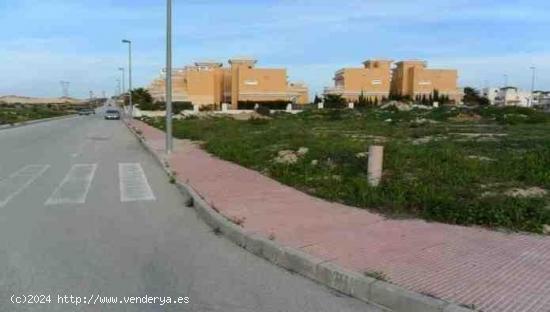 TERRENOS TIPO SOLAR EN SAN FULGENCIO - ALICANTE