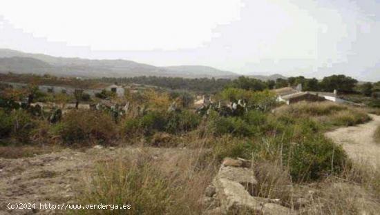 TERRENO RÚSTICO EN MONÓVAR - ALICANTE