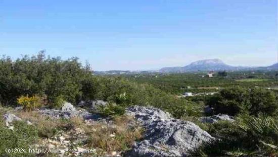 TERRENOS URBANOS EN TORMOS - ALICANTE