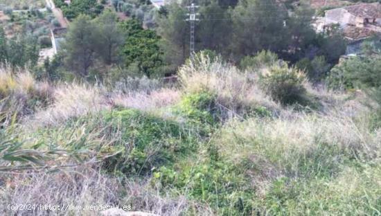 TERRENO TIPO SOLAR EN PEGO - ALICANTE