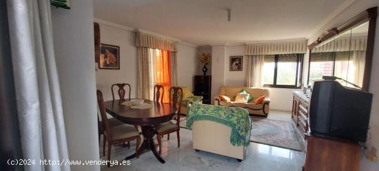 Se Vende en Benidorm - ALICANTE