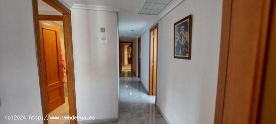 Se Vende en Benidorm - ALICANTE