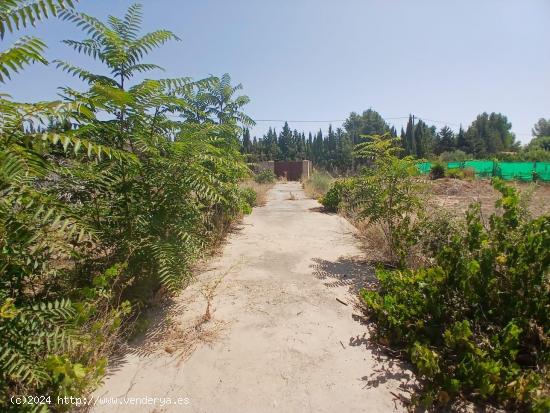 VENTA DE TERRENO CON LUZ Y AGUA - ALBACETE