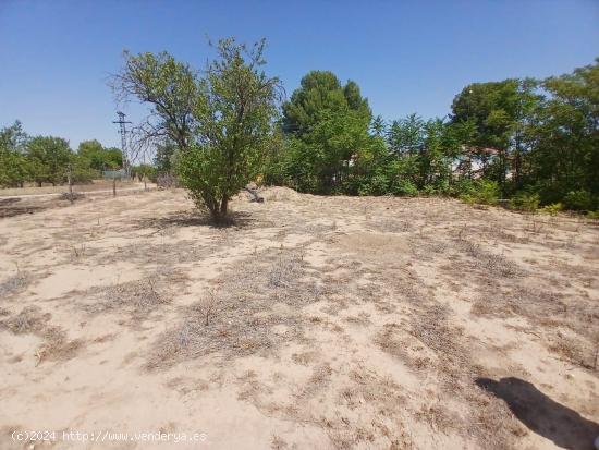 VENTA DE TERRENO CON LUZ Y AGUA - ALBACETE