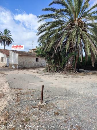 Se vende casa con Terreno en La Marina - ALICANTE