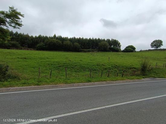 TERRENO RÚSTICO EN ALFOZ DE LLOREDO.- - CANTABRIA