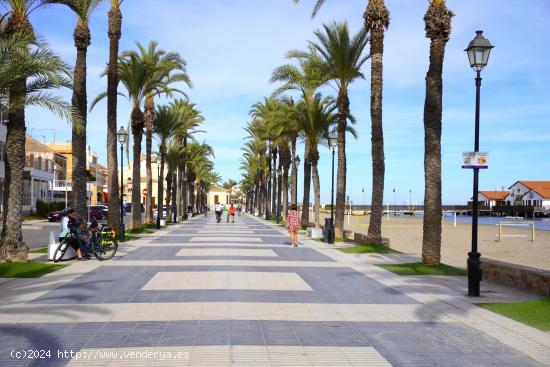 Bonitos bajos en Los Alcázares - MURCIA