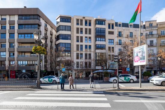  Magnifico piso u oficina en pleno centro de Granada. - GRANADA 