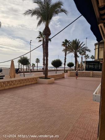 VENTA O ALQUILER DE EXCELENTE LOCAL COMERCIAL EN 1ª LINEA DE PLAYA CAMPELLO - ALICANTE