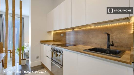 Apartamento de 1 dormitorio en alquiler a estudiantes de postgrado en Barrio De La Latina - MADRID