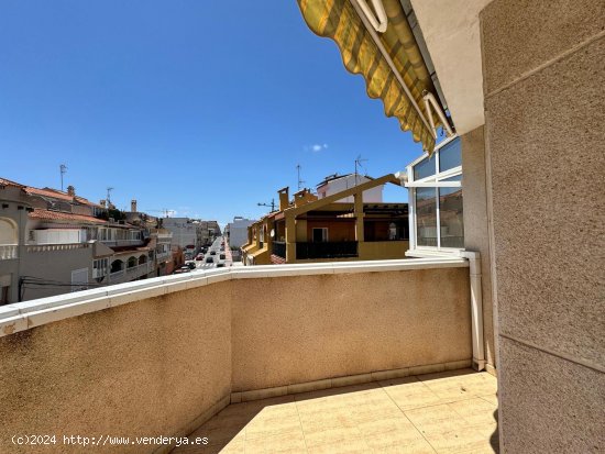 Apartamento en venta en Torrevieja (Alicante)