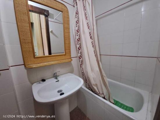 GRAN APARTAMENTO EN TORREVIEJA, 2 HAB, 1 BAÑO - ALICANTE