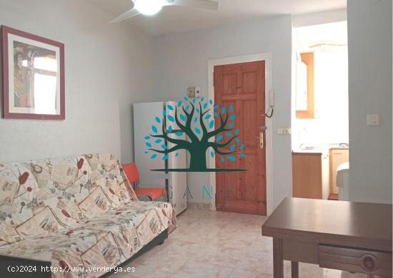 APARTAMENTO A 30 METROS DEL PASEO MARÍTIMO - MURCIA