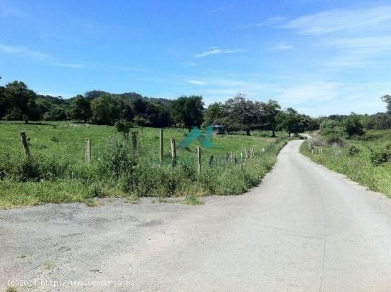 Se vende terreno no urbanizable en Arnuero - CANTABRIA