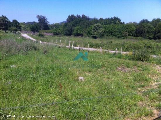 Se vende terreno no urbanizable en Arnuero - CANTABRIA