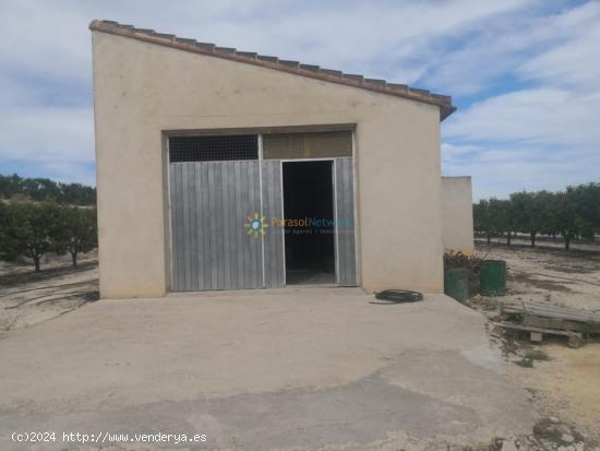 Casita de campo a la venta en Beniganim - VALENCIA