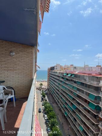 ALQUIILER Apartamento en Playa de San Antonio de Cullera - VALENCIA