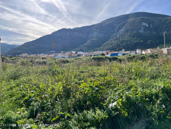 OPORTUNIDAD casa campo en simat de la valldigna - VALENCIA