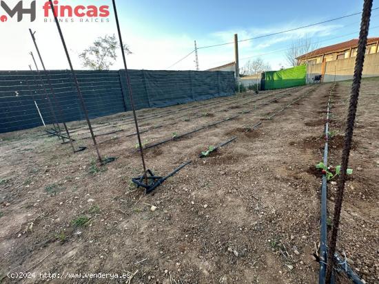  Parcela Diafana en Urbanización rustica privada  500 Mt2  ALCALA DE GUADAIRA - SEVILLA 