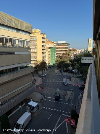 Se alquila Piso en centro Alicante - ALICANTE