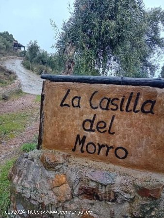 Encantadora casa rural en los Montes de Toledo con producción de olivos