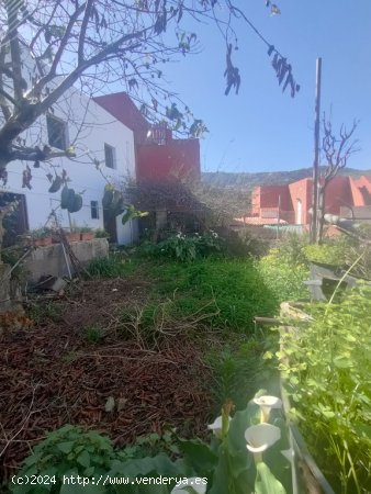 Casa de campo-Masía en Venta en Amparo, El Santa Cruz de Tenerife