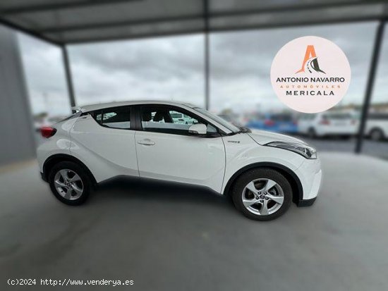 TOYOTA C-HR en venta en Badajoz (Badajoz) - Badajoz