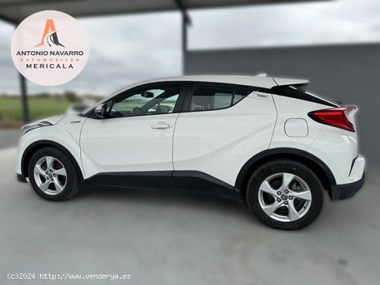 TOYOTA C-HR en venta en Badajoz (Badajoz) - Badajoz