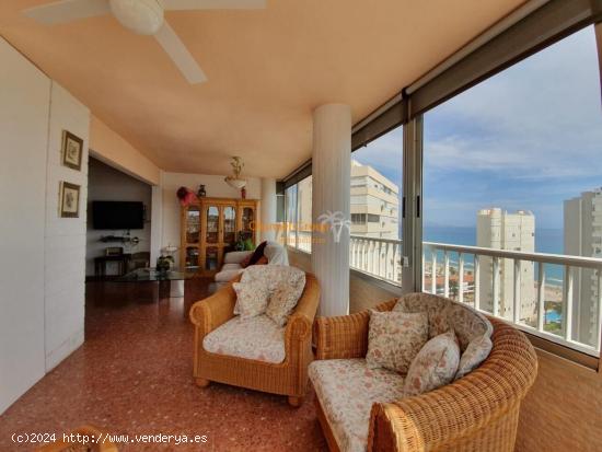 SE ALQUILA APARTAMENTO CON VISTAS AL MAR EN SAN JUAN PLAYA!! - ALICANTE