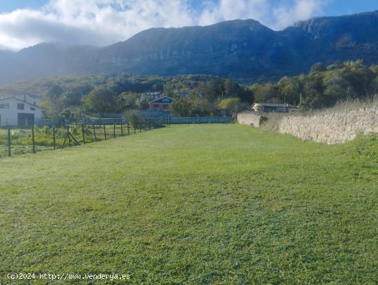 Finca urbana licencia directa de 1.000 metros en Sopeñano - BURGOS