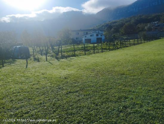 Finca urbana licencia directa de 1.000 metros en Sopeñano - BURGOS