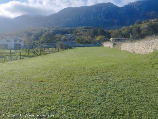 Finca urbana licencia directa de 1.000 metros en Sopeñano - BURGOS