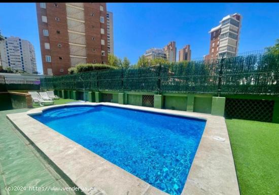 Bonito apartamento de 2 dorm a 300 metros del mar!! Playa Levante! - ALICANTE