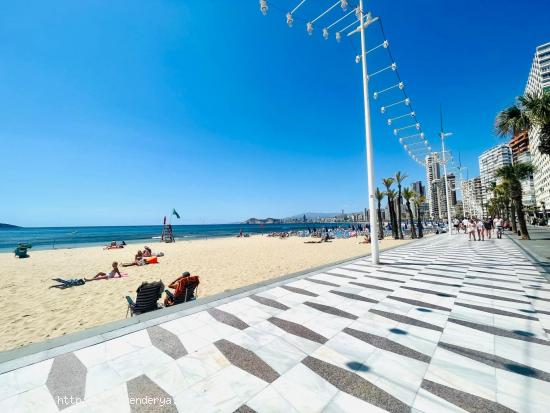 Apartamento en venta en Primera línea de playa Levante, Benidorm. - ALICANTE