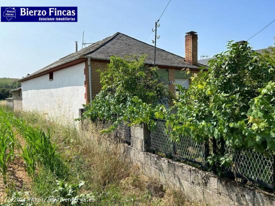 CASA CON TERRENO EN MAGAZ DE ABAJO!!! - LEON