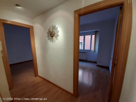 APARTAMENTO EN ALQUILER EN CENTRO DE VALLADOLID - VALLADOLID