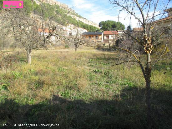 PARCELA DE TERRENO  URBANO DE 9000M2, EN CENTRO DEL PUEBLO, Y UNIFAMILIAR DE 150M2 - ZARAGOZA