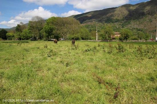 Finca urbana en Ruente - CANTABRIA