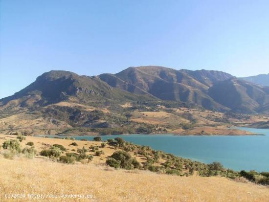 SE VENDE FINCA EN EL GASTOR - CADIZ