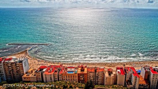 ACOGEDOR APARTAMENTO CON LICENCIA TURISTICA EN RAVAL ROIG IDEAL PARA INVERSION - ALICANTE