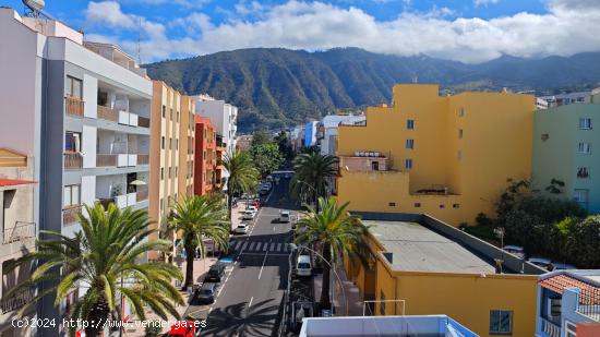 PISO EN EL CENTRO DE LA OROTAVA - SANTA CRUZ DE TENERIFE