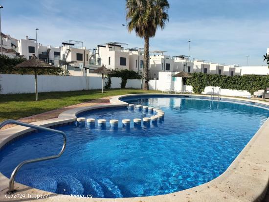 OBRA NUEVA - ADOSADO DE 3 DORMITORIOS, 2 BAÑOS, PISCINA Y SOLARIUM - ALICANTE