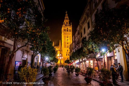 Se Alquila en Sevilla - SEVILLA