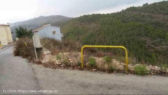 TERRENO URBANO EN PEDREGUER - ALICANTE