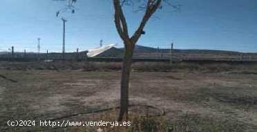 TERRENO TIPO SOLAR EN VILLENA - ALICANTE