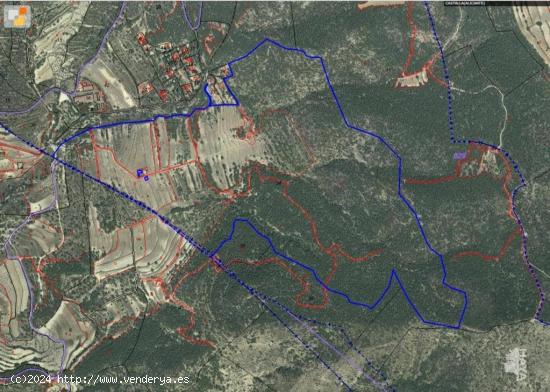 TERRENO FORESTAL EN CASTALLA - ALICANTE