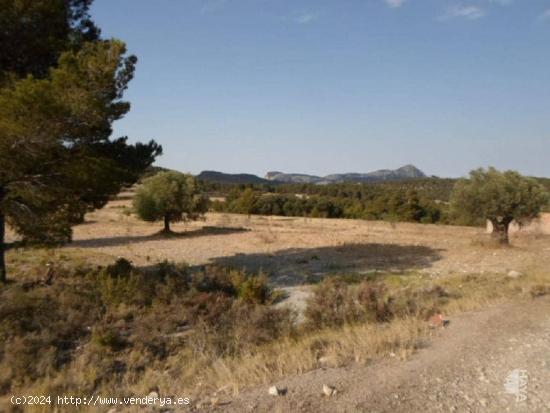 TERRENO FORESTAL EN CASTALLA - ALICANTE