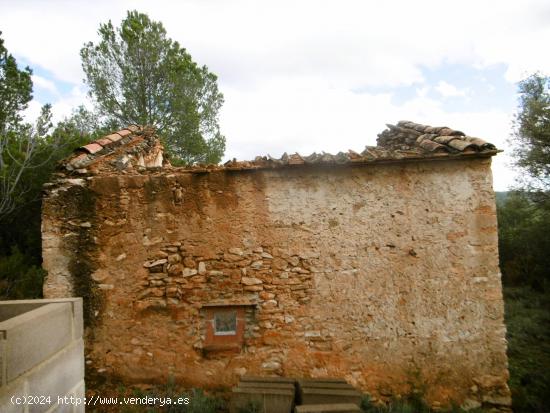 FINCA CON PINOS Y CASA PARA REFORMAR - CASTELLON