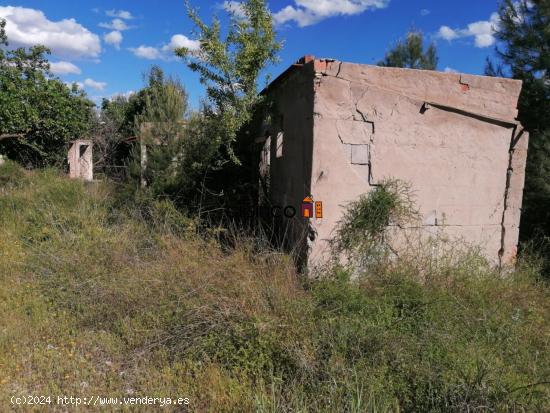 TERRENO RURAL EN VENTA EN ONTINYENT - VALENCIA