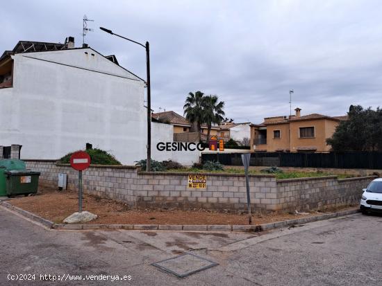 TERRENO URBANO EN BUENA ZONA DE GENOVÉS - VALENCIA